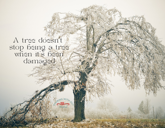 Acceptance is the Roots of a Tree