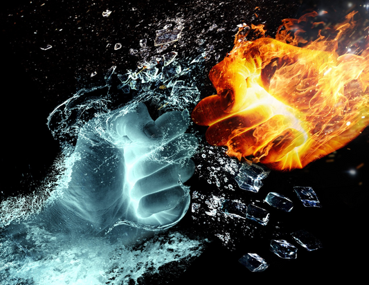 Fight or Flight: How Addiction Traps Parents and Their Children in Survival Mode